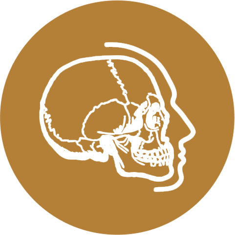 Maximarques Odontologia | Implantes e Dentista em Gaspar 5.